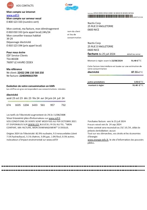 France EDF proof of address business utility bill template in Word and PDF formats